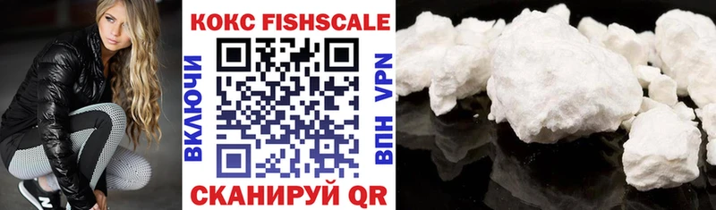 mega ссылки  цена наркотик  Заринск  COCAIN FishScale 