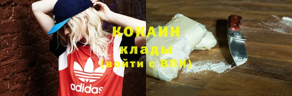 шишки Беломорск