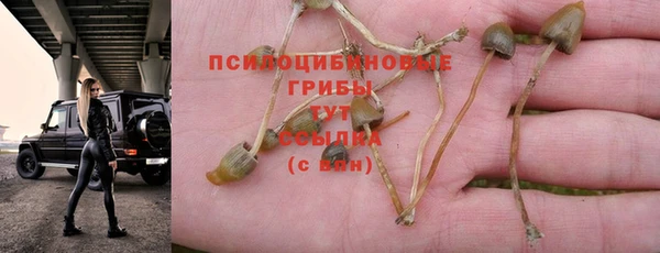 мефедрон Белокуриха