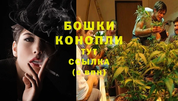 гидропоника Белоозёрский